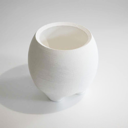 鉢セット販売]サトイモ科3種_paradise (1点限り) その他インテリア雑貨