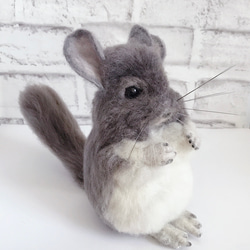 羊毛フェルト　チンチラ(グレー) 羊毛フェルト チンチラ(グレー)