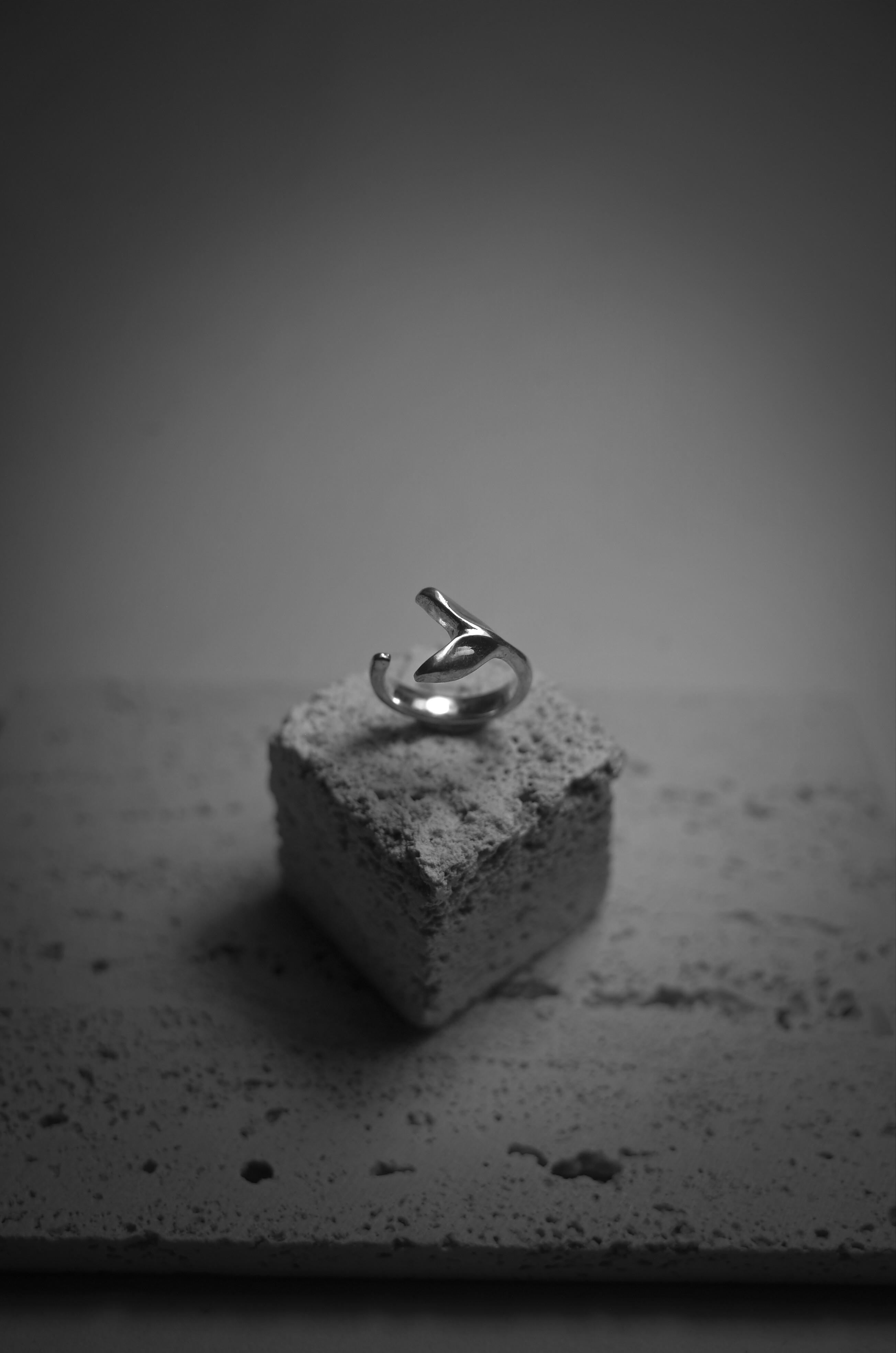 これは私が海を愛している証拠です