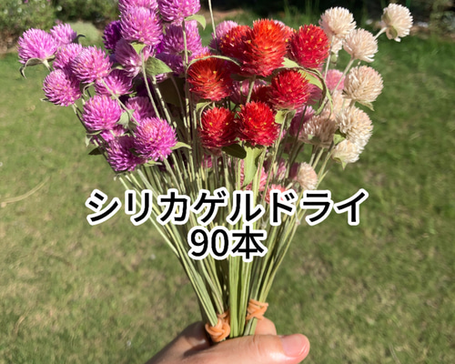 ドライフラワー　3点お纏め ドライフラワー 3点お纏め