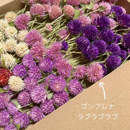 ドライフラワー 楽天市場】ドライフラワー 届いてすぐに楽しめる 花瓶とセット