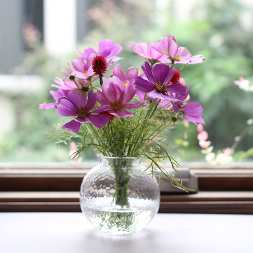 □オープン記念価格□枯れない花/秋の花コスモス＆センニチコウ