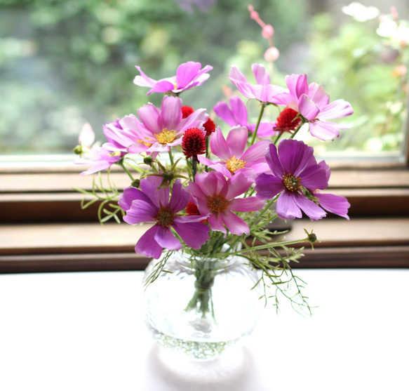再❗️再値下げしました‼️リーンロゼ花瓶 リーン・ロゼショップ - 銀座店のロゼトーゴ展示を入れ替えまし