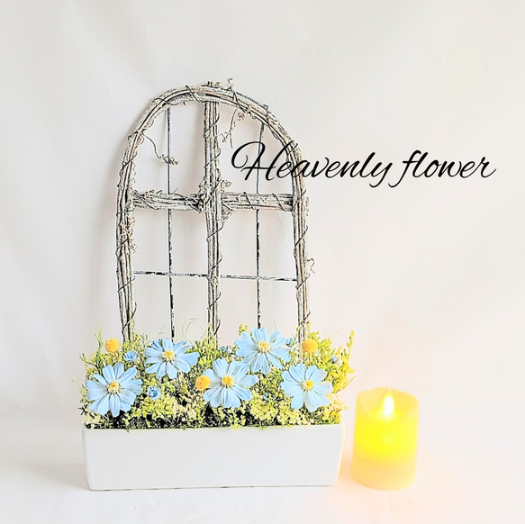 仏花 　ヘブンリー・フラワー  スカイブルー プリザーブドフラワー 2枚目の画像