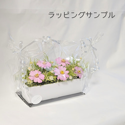 仏花 　ヘブンリー・フラワー  スカイブルー プリザーブドフラワー 12枚目の画像