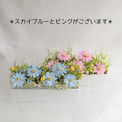 仏花 　ヘブンリー・フラワー  スカイブルー プリザーブドフラワー 10枚目の画像