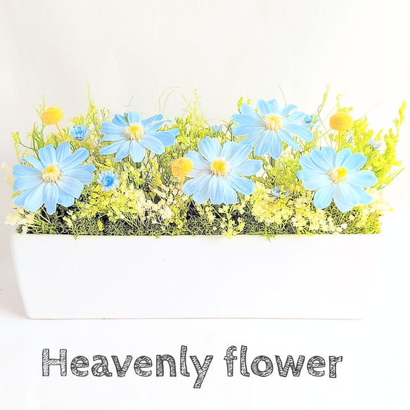 仏花 　ヘブンリー・フラワー  スカイブルー プリザーブドフラワー 1枚目の画像