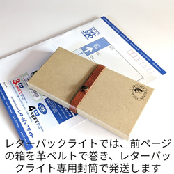 【ホック無しver】豆型メガネケース ソフト7色＋ハード6色 12枚目の画像