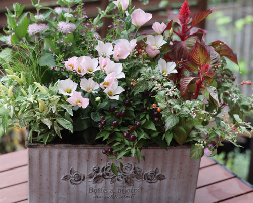 6c1b873c20ea0f8a94148ca6db6824