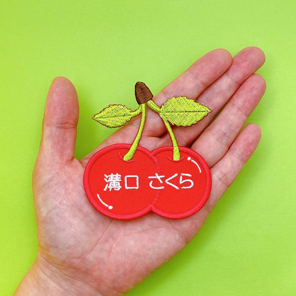 お名前ワッペン♡刺繍♡果物・野菜（スイカ、柿、バナナ、さくらんぼ） 5枚目の画像