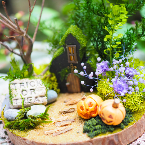 out 丸太の上のかわいいおうち¨̮♡︎ 夢の丸太小屋に