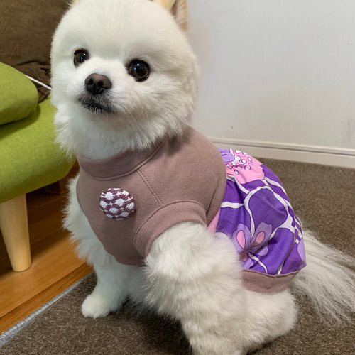 ハンドメイドの犬服　バルーンスカートつきタンク　小型犬サイズMくらい ハンドメイドの犬服バルーンスカートつきタンク小型犬サイズMくらい