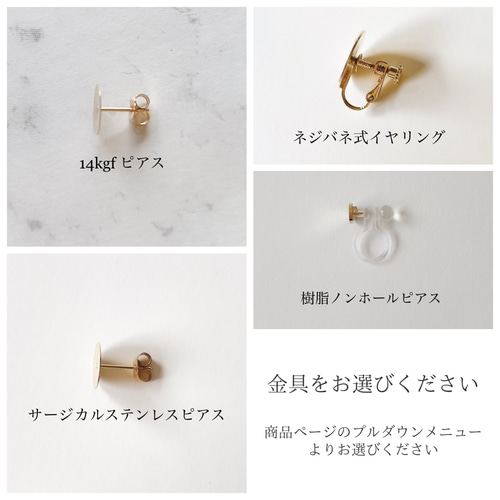 ブラックガラスタイル ビジューピアス/イヤリング イヤリング