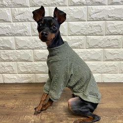 あゆ♡様❤ミニチュアピンシャー ペン立て&印鑑スタンド♡ ペン立て | WiZOO YOU