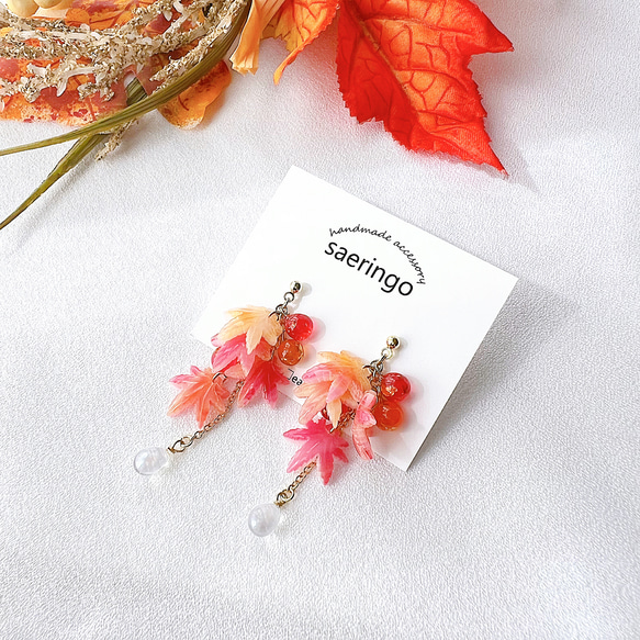 秋のおでかけ♡アクセサリーおまとめ色々特別セット