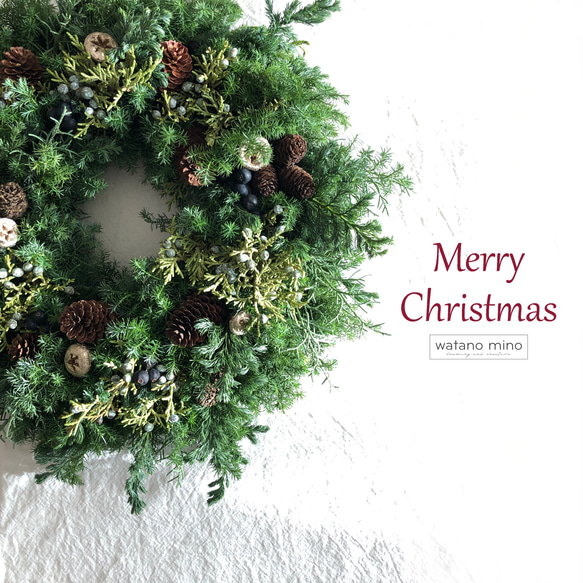 ユーカリの実と針葉樹のリース LL40-45 / 冬のフレッシュグリーン  