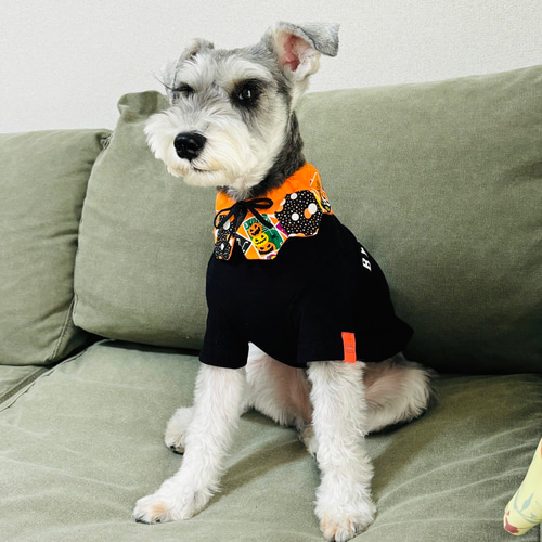 パッチワーク スタイ ハロウィン① 犬用 猫用 Sサイズ ペット服
