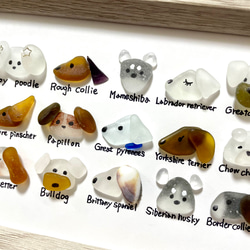 シーグラスアートNo.119 図鑑 虫 昆虫 雑貨 置物 ミニチュア