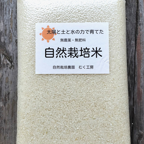 売れ筋商品お見逃しなく 自然農 限界集落の清流米 5㎏ 栽培地