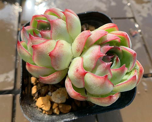 f0bd8a948a7abaf98128c5070a6a62