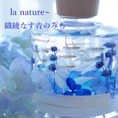 みゅ～ハーバリウム◆確認用 豪華特典付き！再販3】la nature～水中庭園 めだかのさんぽみち