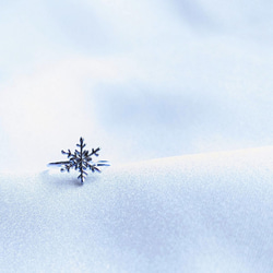 雪のささやき　本物の雪の結晶デザイン　雪の香りの軽やかなギフト　指輪サイズ変更可能 8枚目の画像