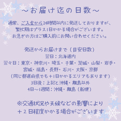 雪のささやき　本物の雪の結晶デザイン　雪の香りの軽やかなギフト　指輪サイズ変更可能 16枚目の画像
