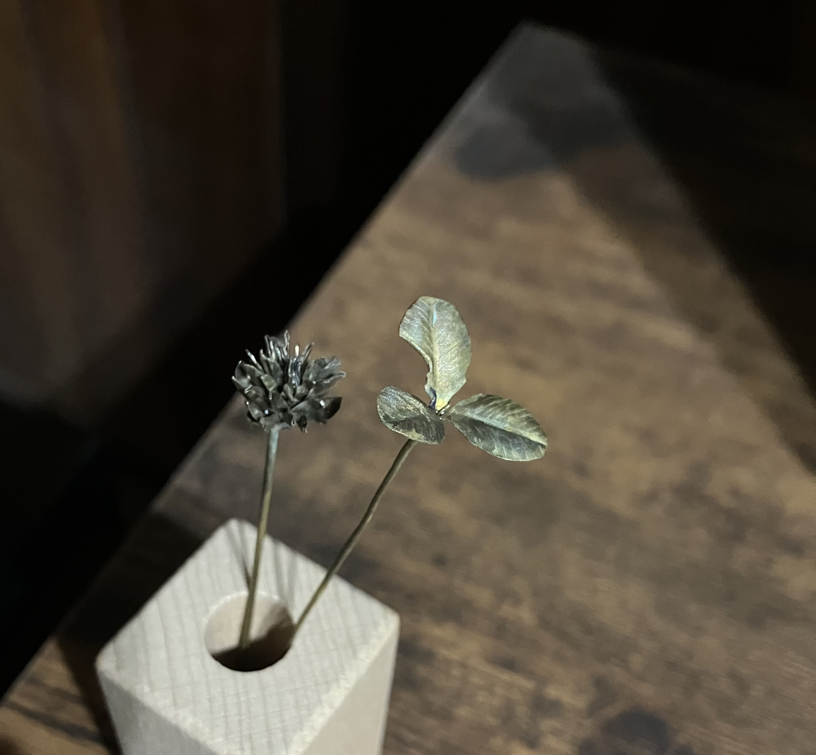 金属の森のシロツメクサ＊虫食いクローバー