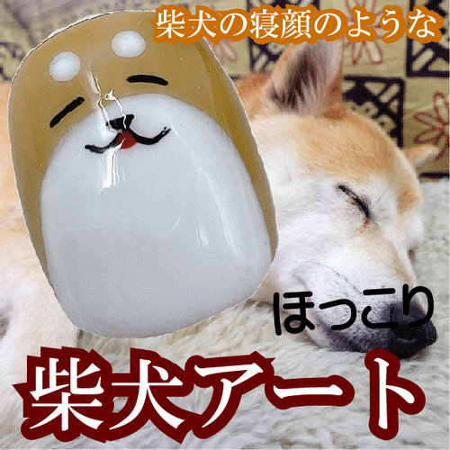 柴犬 ネイルチップ ドッグ わんちゃん わんこ 短め 小さい爪用