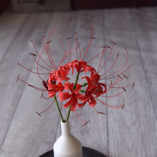 曼珠沙華｜旬のもの｜暦生活 | 日本の季節を楽しむ