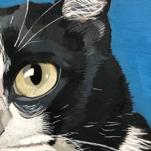 猫　イラスト　インテリア　原画 ◇原画◇『蛍 探しの後は 爆睡だニャー♪』猫 パステルアート