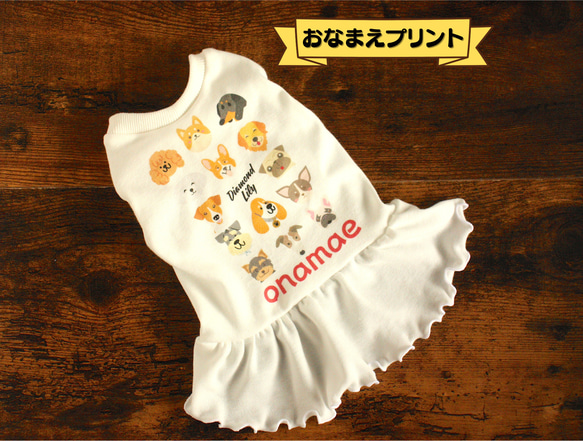 リトル犬服ハンドメイドワンピース 犬服 Little Rhythnnne リトルリズン レース ワンピース 背中