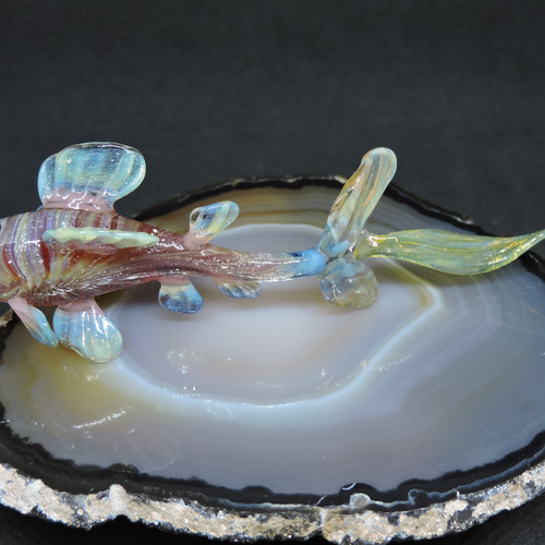 Amazon.co.jp: ミルフィオリ ガラス 魚 置物 エンゼルフィッシュ