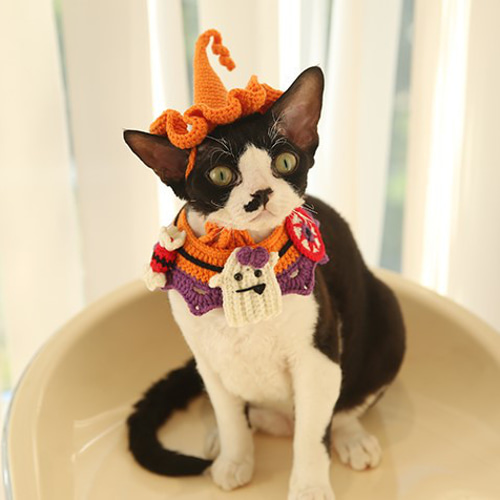 EMY's Gallery 猫襟 ワンちゃん襟 首輪 カギ編み 犬襟 つけ襟