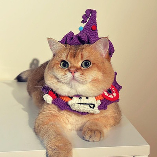 EMY's Gallery 猫襟 ワンちゃん襟 首輪 カギ編み 犬襟 つけ襟