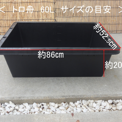 ビオトープ 60L トロ舟＆木枠セット（フラットタイプ防鳥網付き