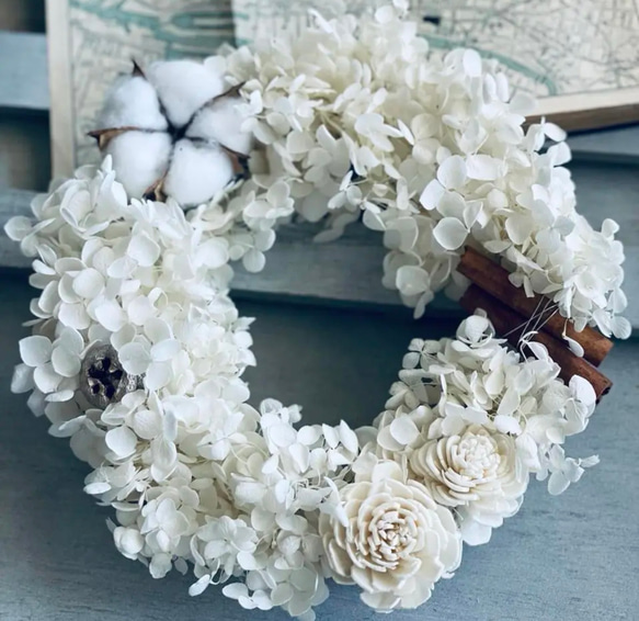 ホワイトリース 61Kdz6ovkbL._AC_UF350,