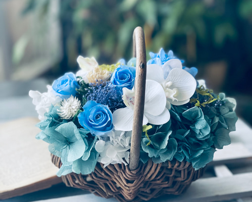 青 ブルーローズと幸せ胡蝶蘭の華やかバスケット 新築祝い仏花