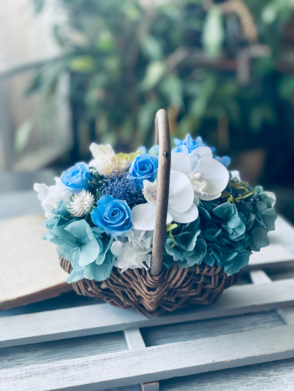 青 ブルーローズと幸せ胡蝶蘭の華やかバスケット 新築祝い仏花 開店