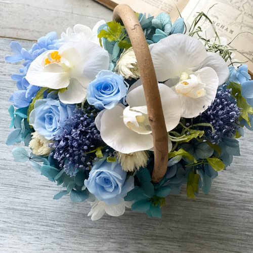 青 ブルーローズと幸せ胡蝶蘭の華やかバスケット 新築祝い仏花 開店