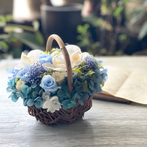 青 ブルーローズと幸せ胡蝶蘭の華やかバスケット 新築祝い仏花 開店