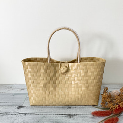 プラカゴバッグ Lサイズ マルチボーダー柄 ブルー系 プラカゴ ppバンド