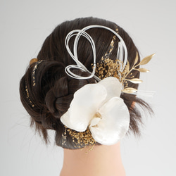 A282 胡蝶蘭 水引 髪飾り ドライフラワー カチモリ 白 ゴールド 成人式