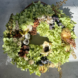 紫陽花アナベル秋リース:ドライフラワーリース リース 花うさぎと森