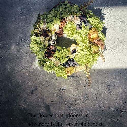 紫陽花アナベル秋リース:ドライフラワーリース リース 花うさぎ