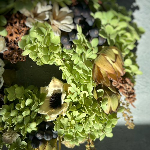 紫陽花アナベル秋リース:ドライフラワーリース リース 花うさぎ