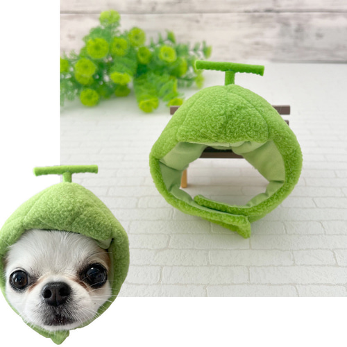 メロンの被り物 ペット服・アクセサリー NANA☆PARU 通販 18294983