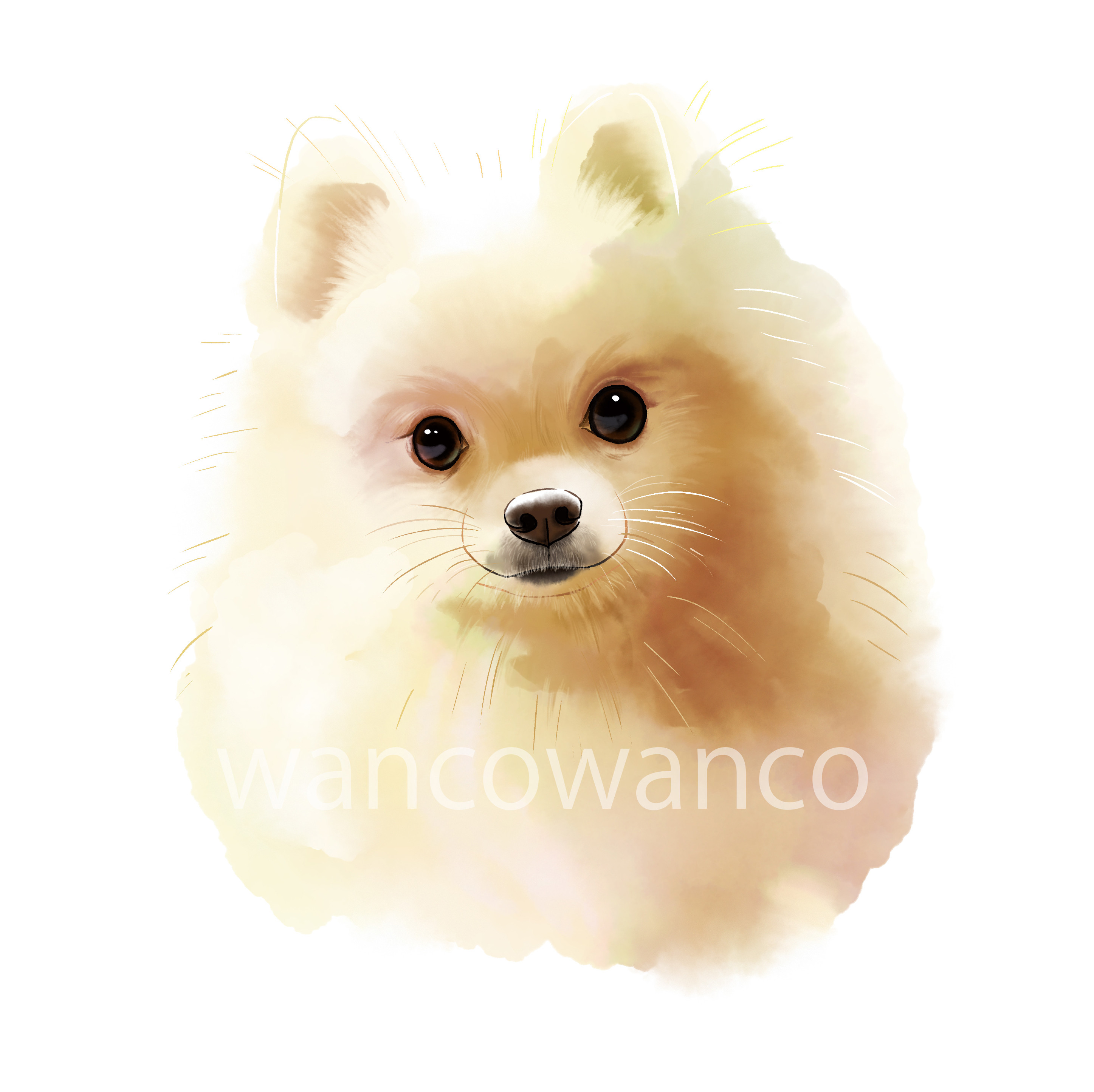 ペットイラスト似顔絵　サンプル作品　ポメラニアン　肖像画　オーダーメイド