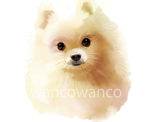 ペットイラスト似顔絵 サンプル作品 ポメラニアン 肖像画