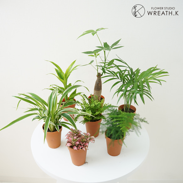 送料込み】☆選べる種類と個数☆ミニ観葉(2号) アートフラワー Wreath